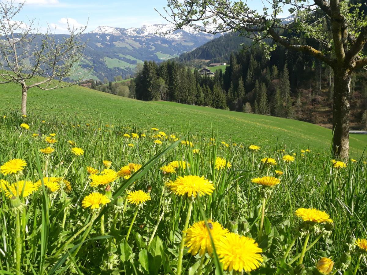 Sonnenappartements Madlstatthof Wildschoenau Luaran gambar